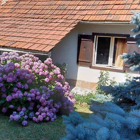 Apartman Nebojsa 루드니크 외부 사진