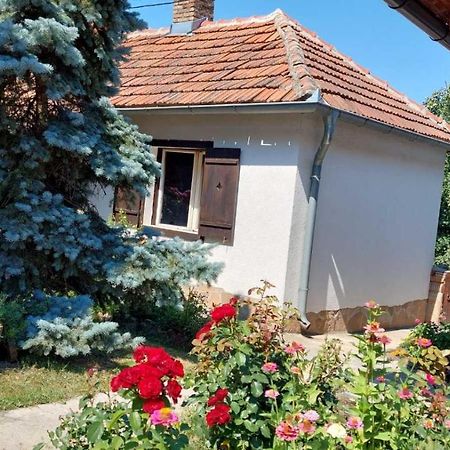 Apartman Nebojsa 루드니크 외부 사진