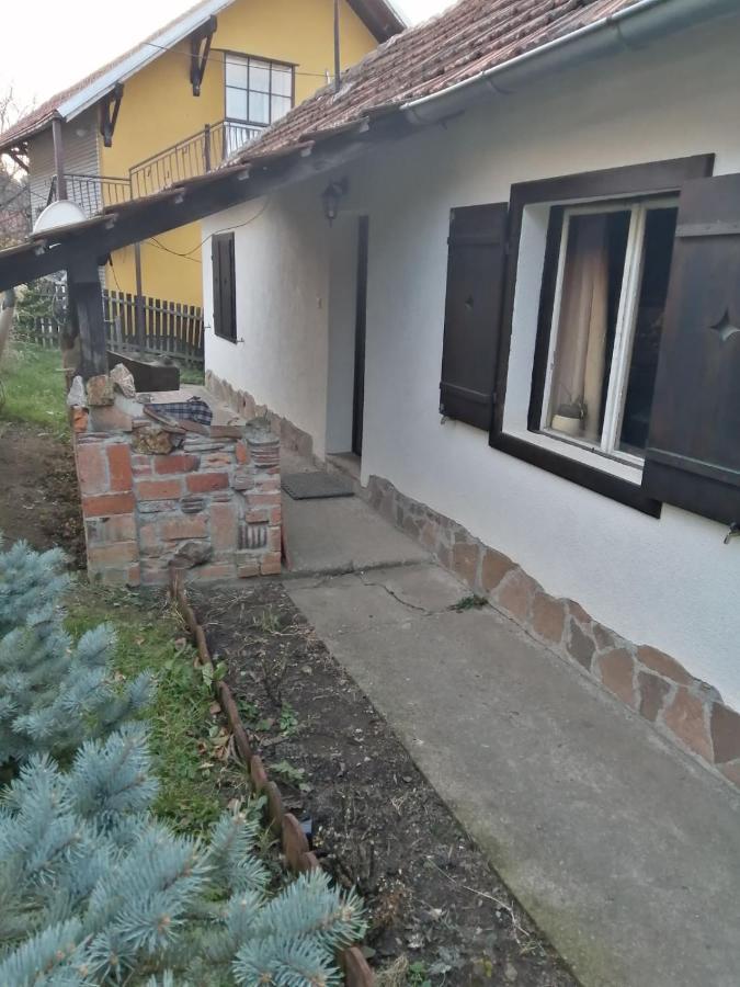 Apartman Nebojsa 루드니크 외부 사진