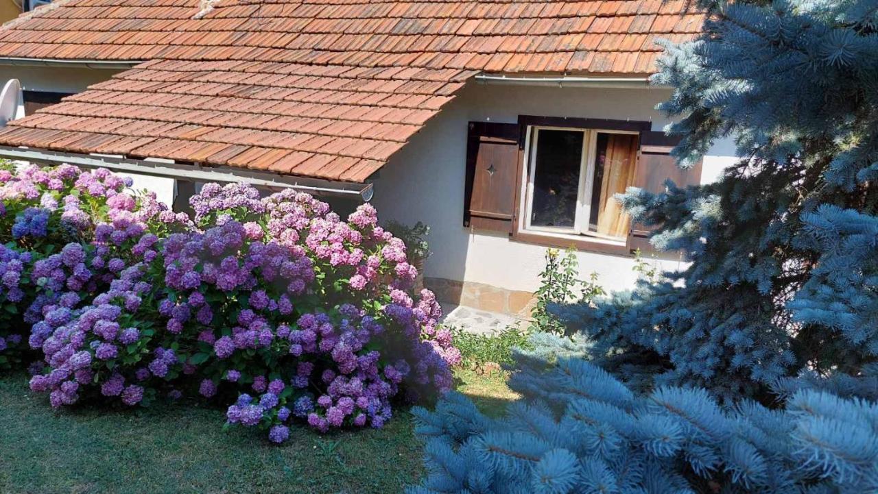 Apartman Nebojsa 루드니크 외부 사진
