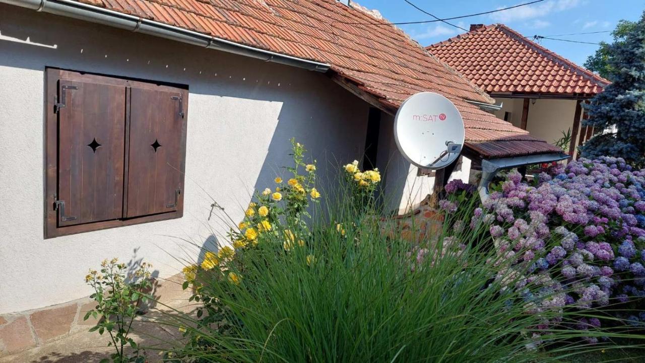Apartman Nebojsa 루드니크 외부 사진