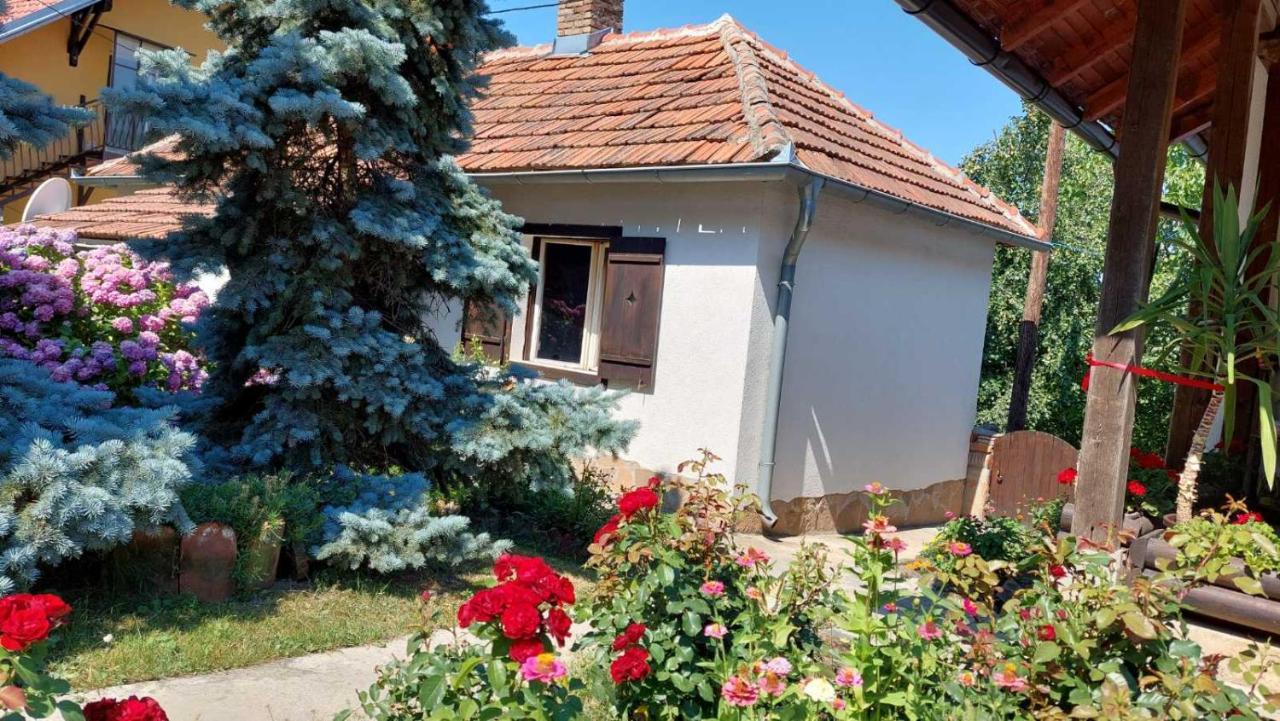 Apartman Nebojsa 루드니크 외부 사진