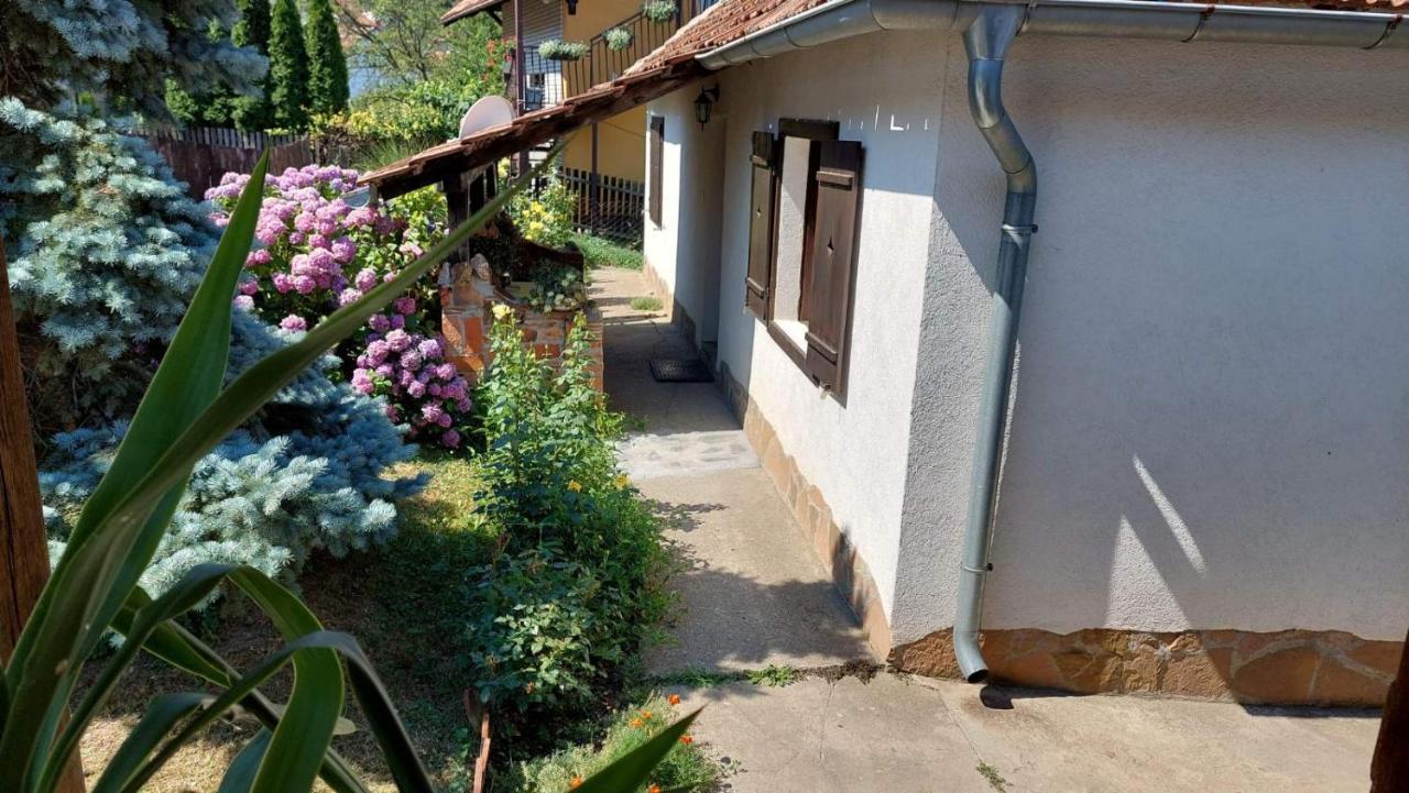 Apartman Nebojsa 루드니크 외부 사진