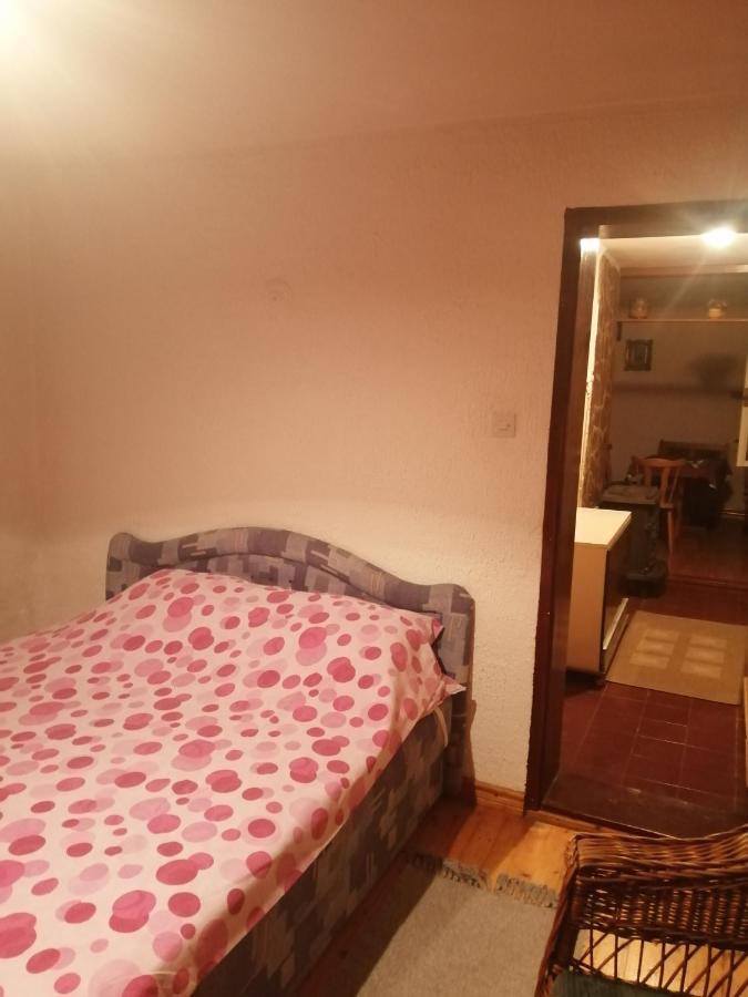 Apartman Nebojsa 루드니크 외부 사진