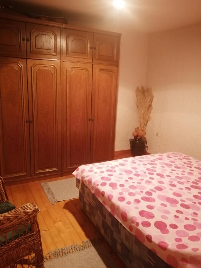 Apartman Nebojsa 루드니크 외부 사진